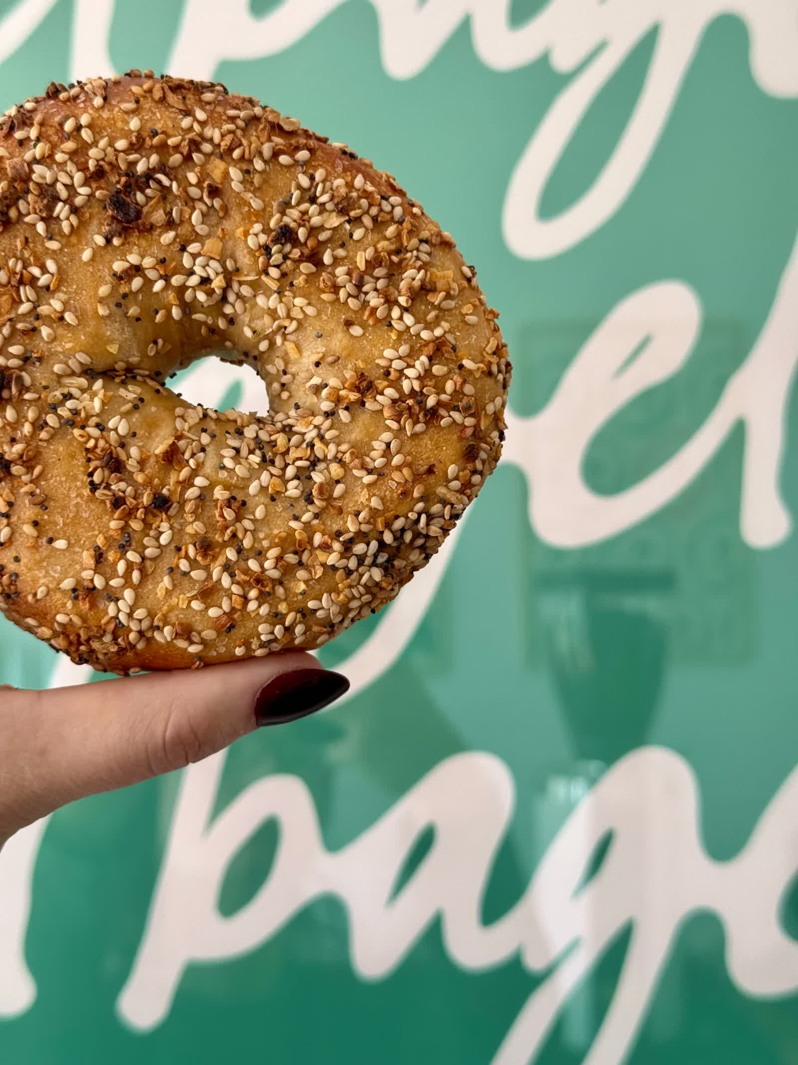 an everything bagel against the green bagel bagel wall