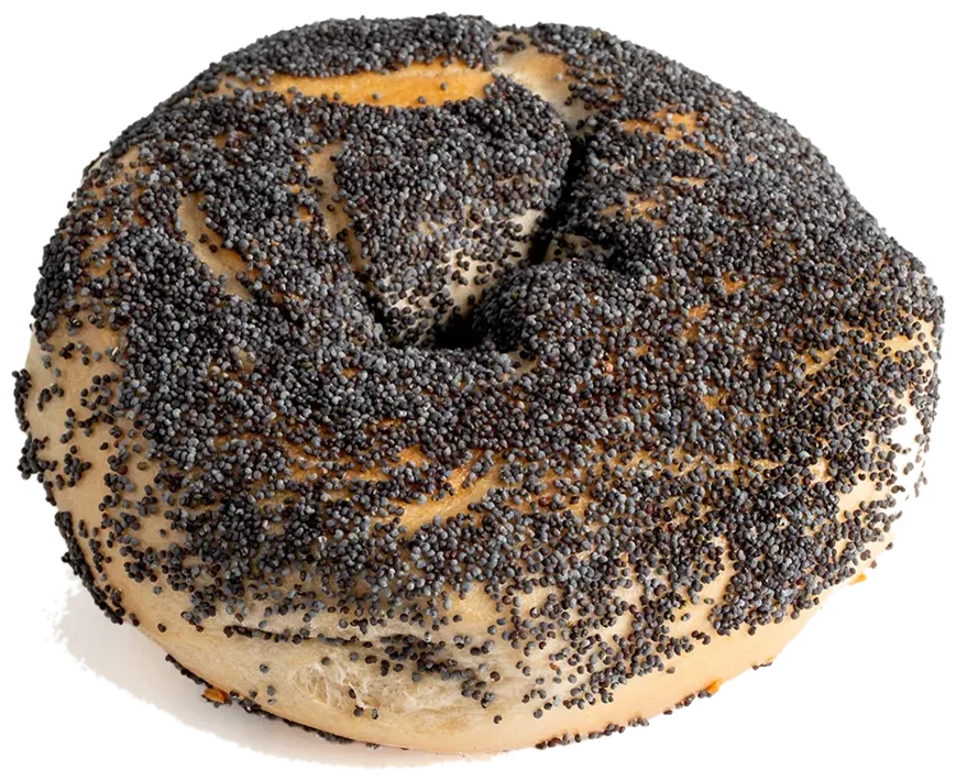 poppy bagel