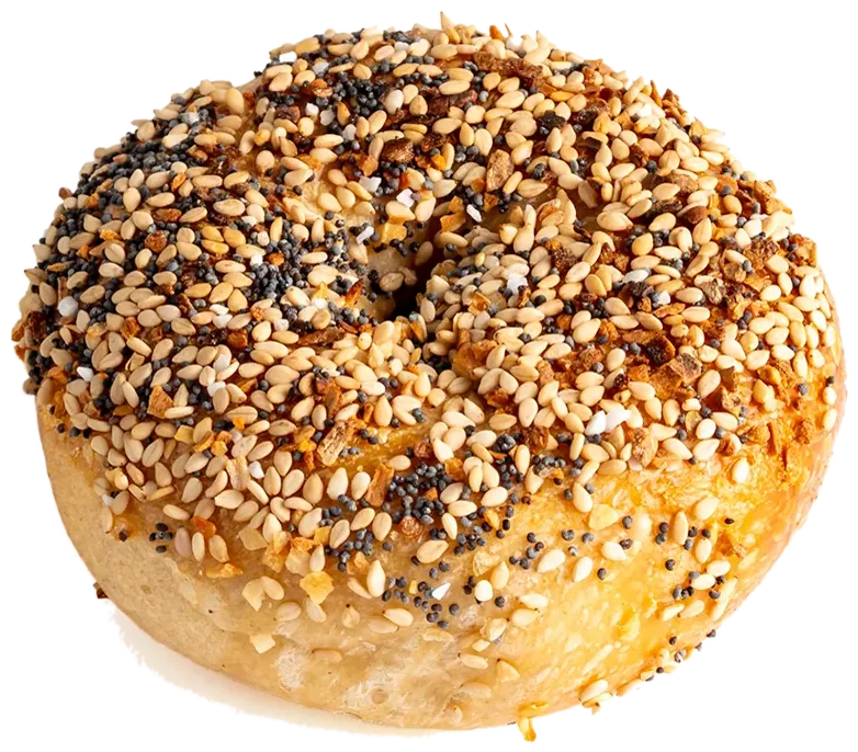 everything bagel